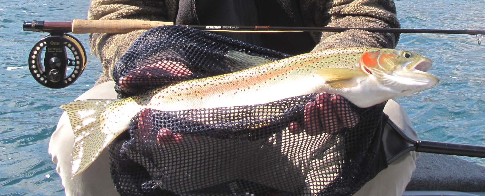 Professional Fly Fishing Guide Service In Central New York
