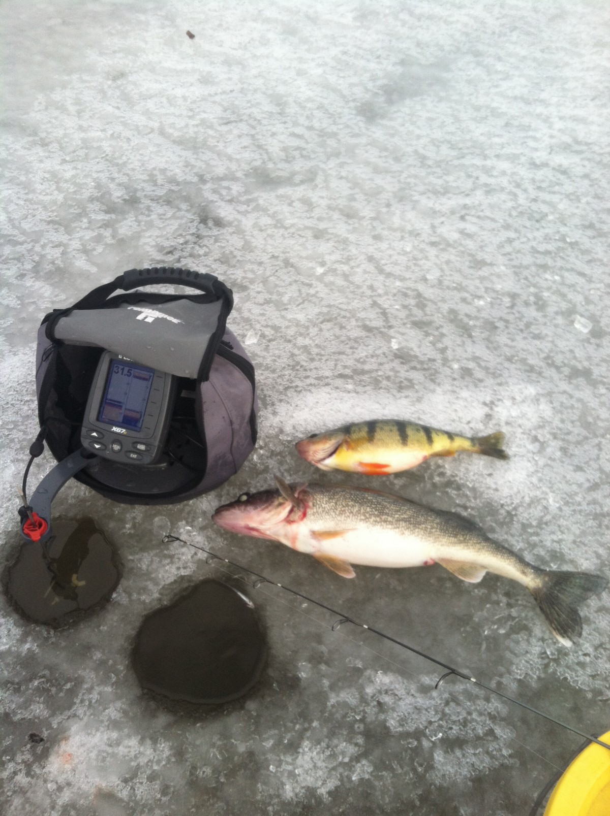 Ice Fishing Upstate Guide Service