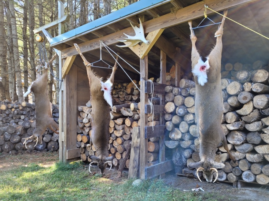 Whitetail Hunting In The Adirondacks