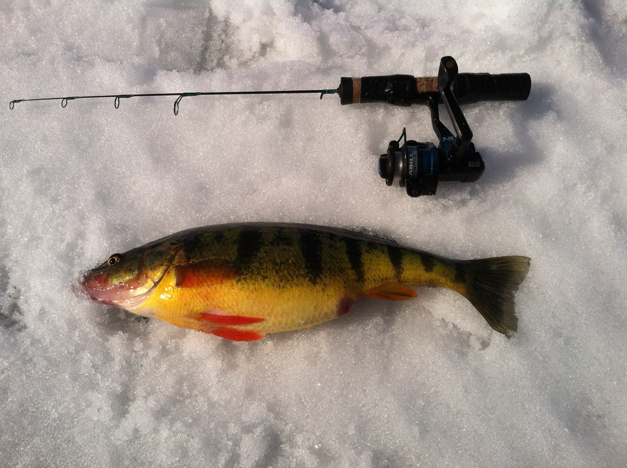 Early Ice Fishing on Star Lake, New York