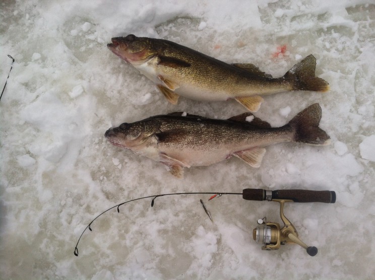 Professional Ice Fishing Guide Service