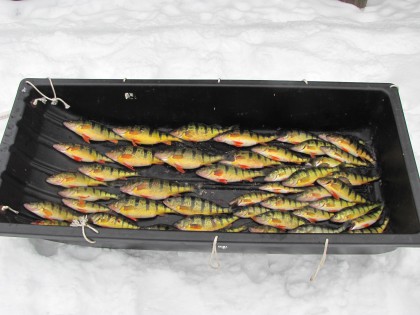 How To Catch More Fish In Pressured Ice Fishing Environments