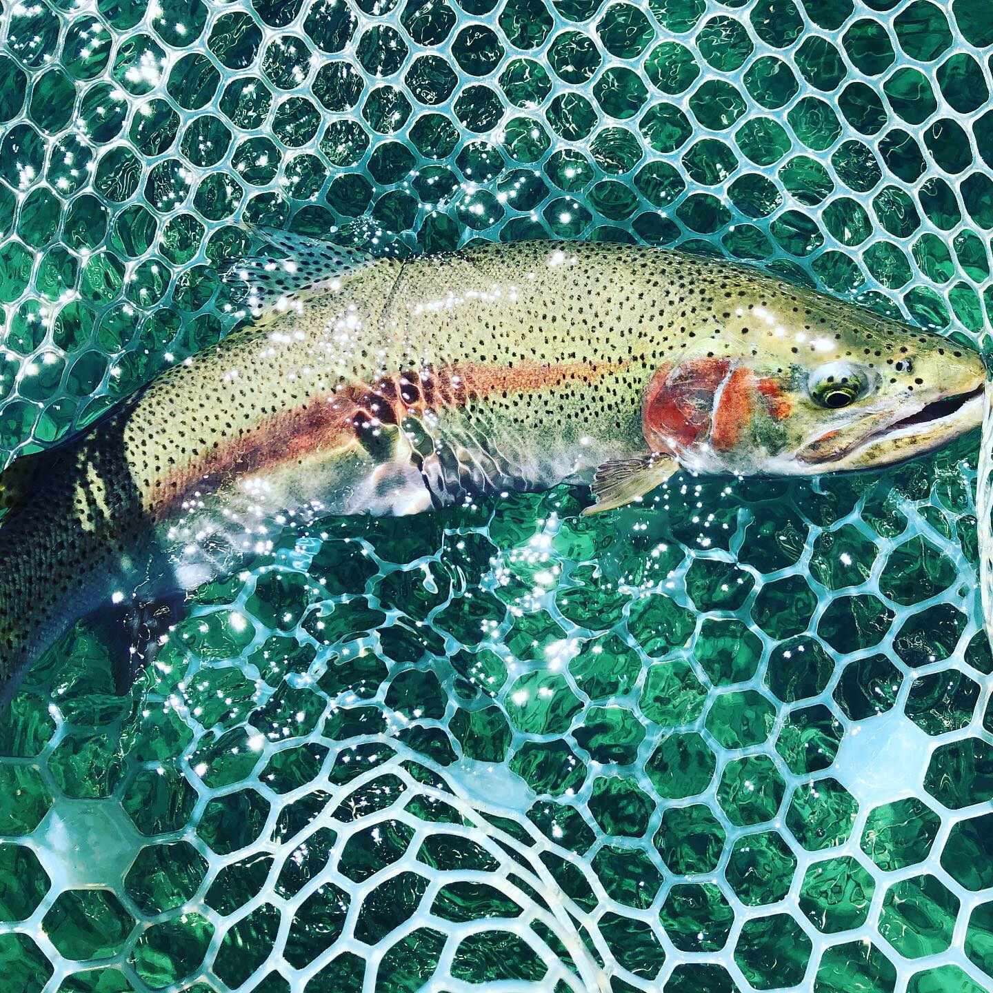 Light Tackle Lake Angling Upstate Guide Service