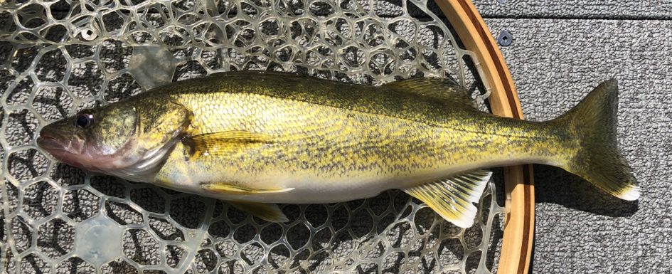 Ice Fishing — The Original Die Hards