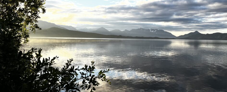 Fly Fishing In Alaska