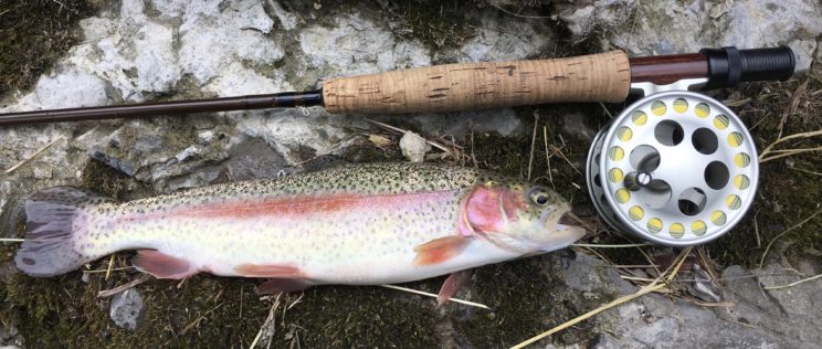 Fly Fishing Guide In Central New York