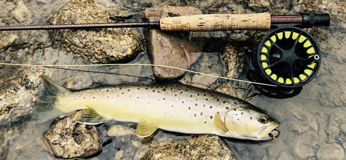 Learn To Fly Fish  Upstate Guide Service