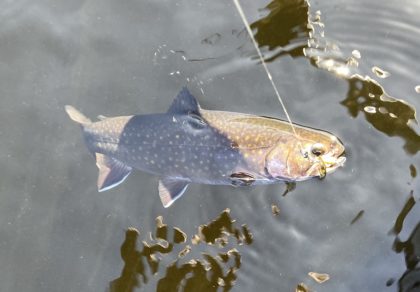 Adirondack Fishing: The Opening of Trout Season - - The Adirondack