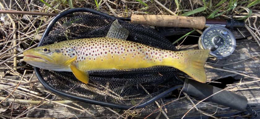 Fly Fishing Guide In Central New York