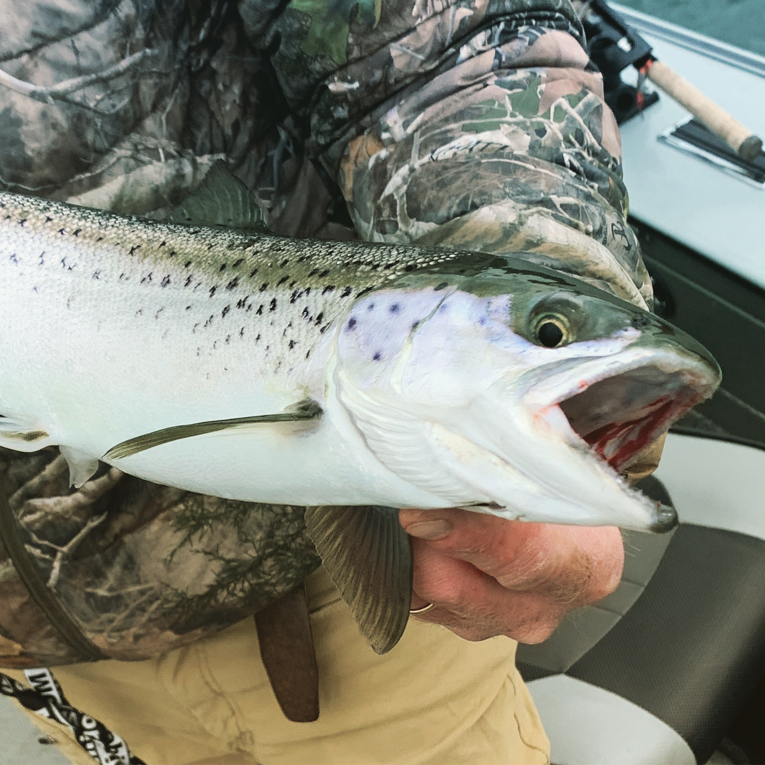 Fly Fishing Guide In Upstate New York