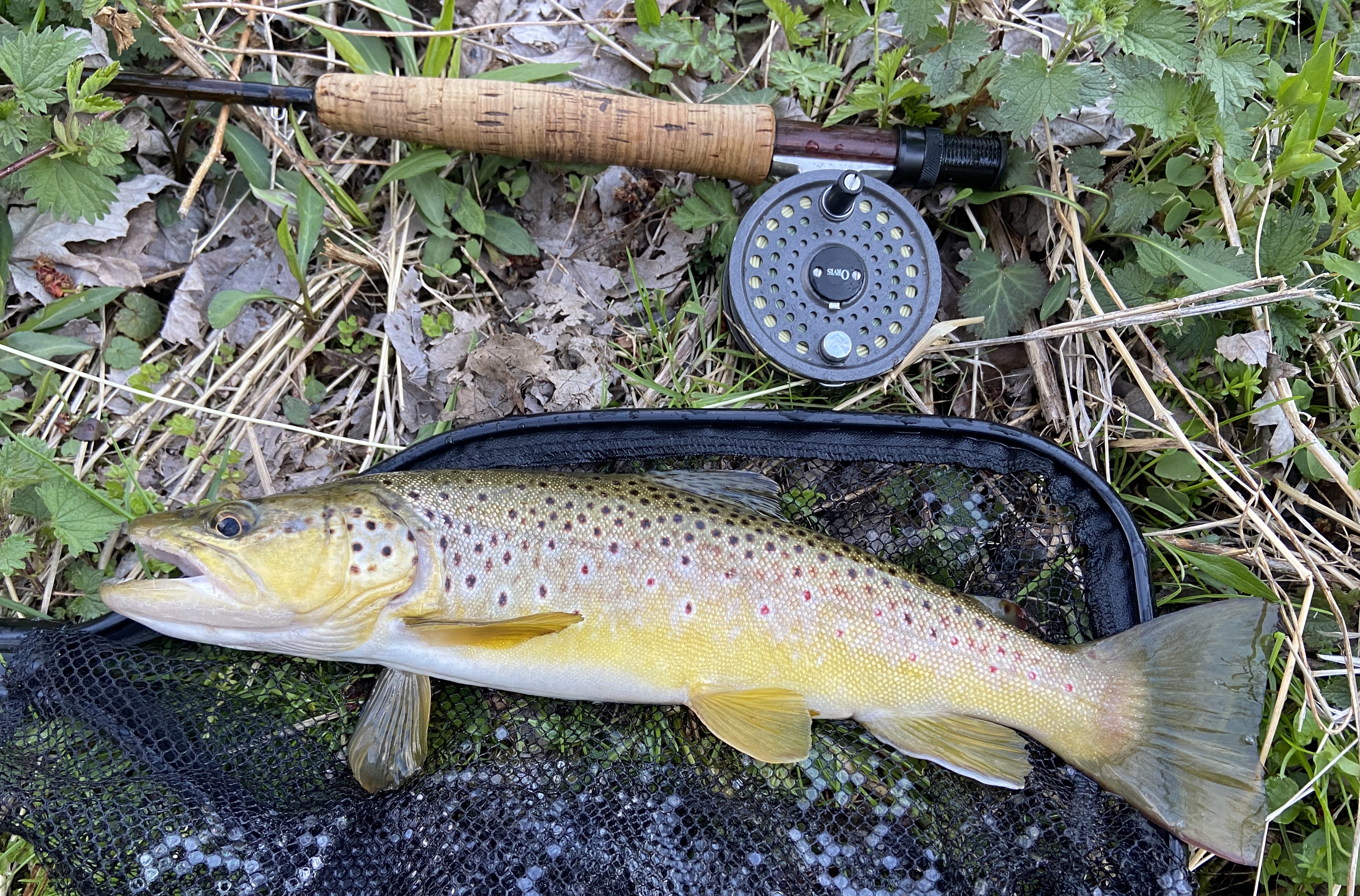 Fly Fishing Guide In Central New York