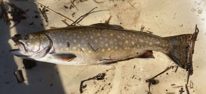 Ice Fishing in Central New York