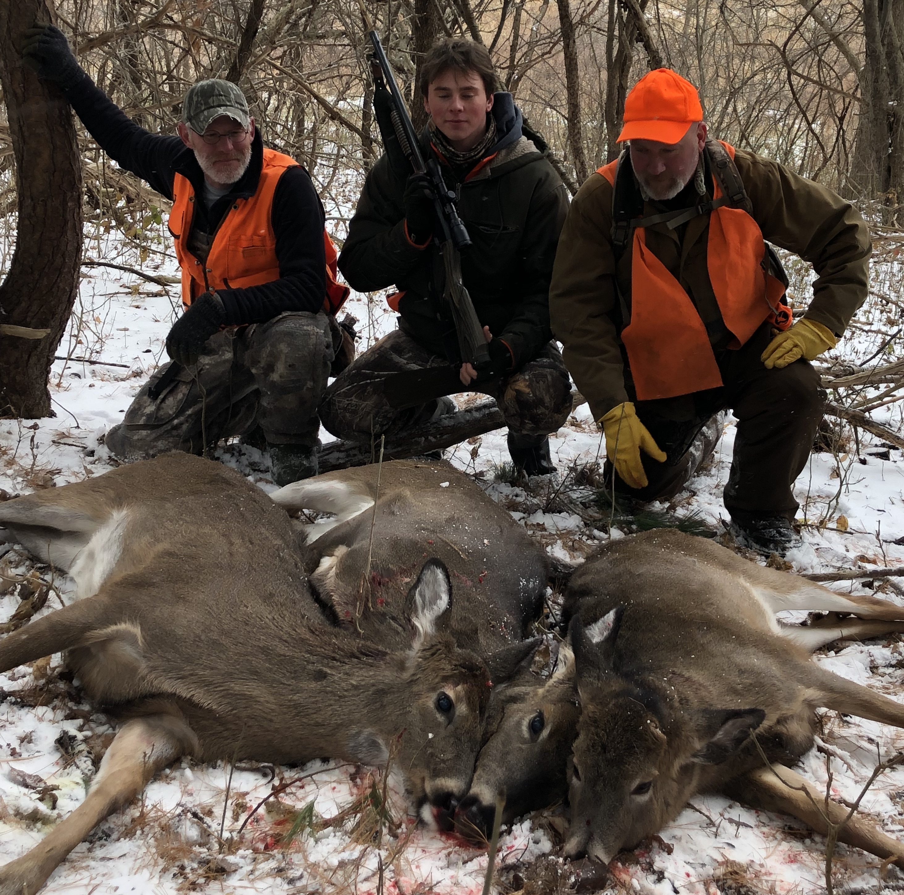 Whitetail Hunting In New York
