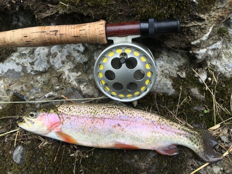 Fly Fishing In Central New York