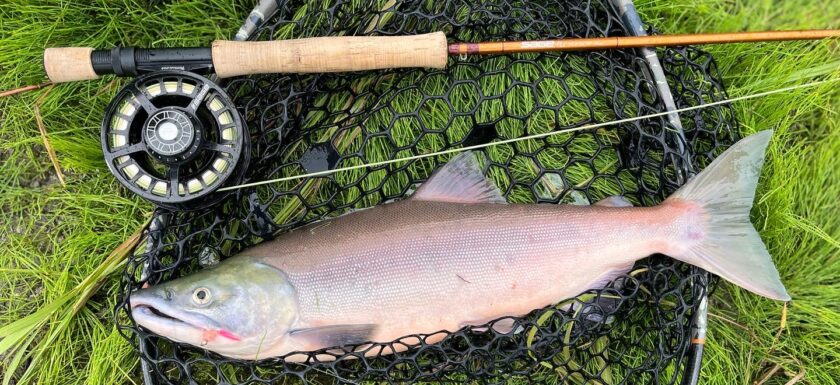 Learn To Fly Fish  Upstate Guide Service