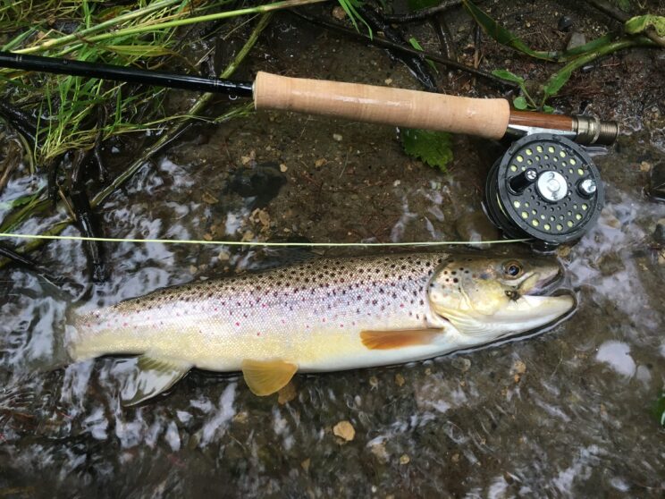 Fly Fshing Guide n Central New York