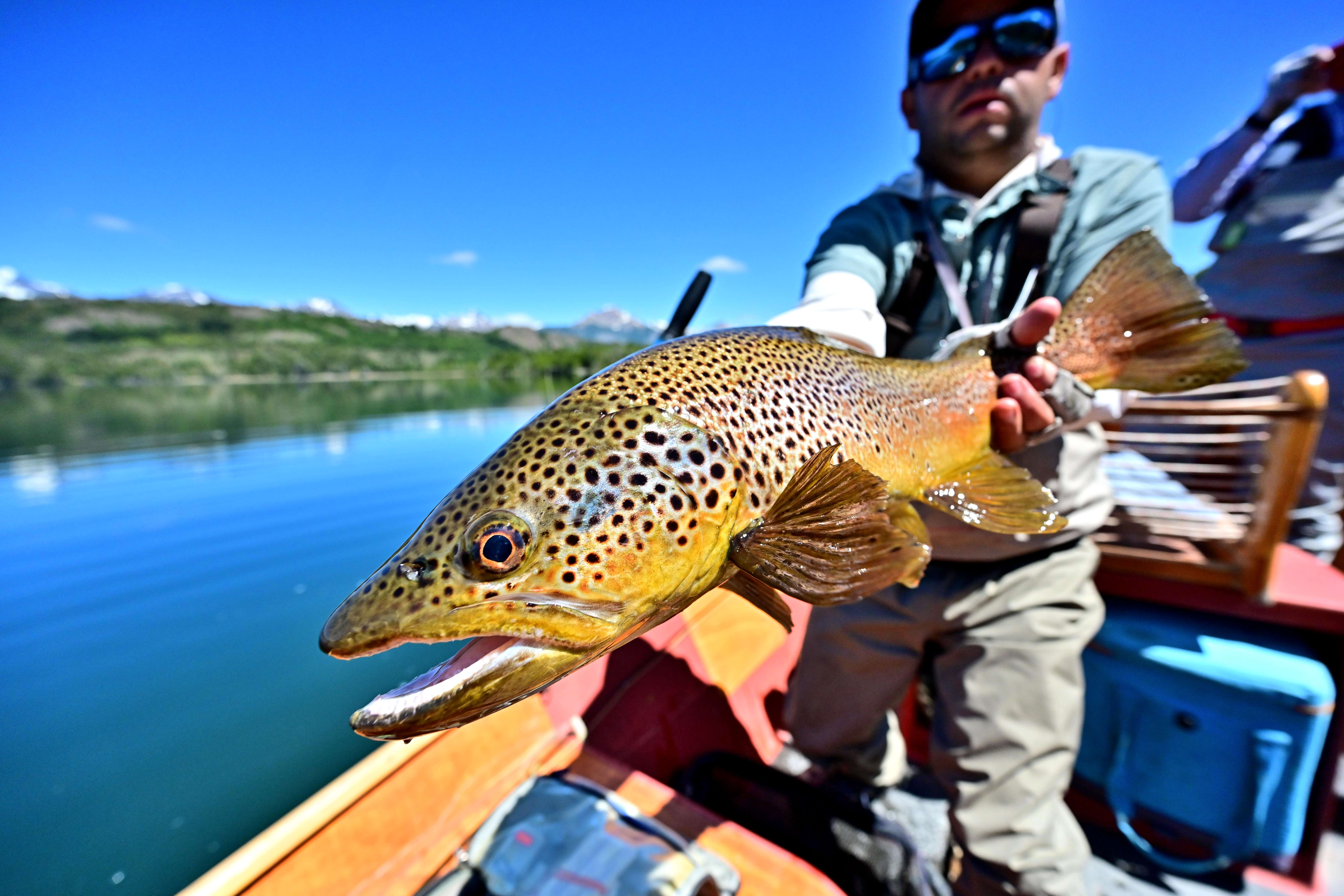Fly Fishing In Patagonia