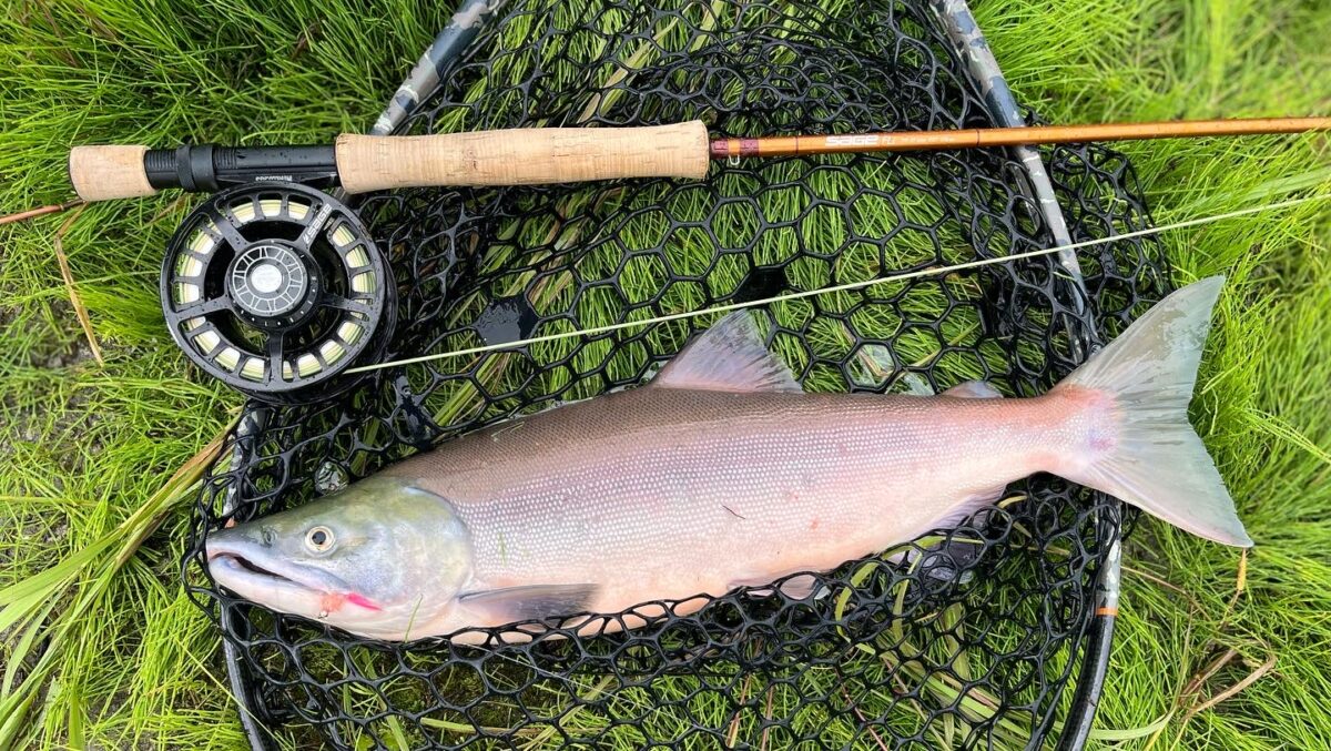 Fly Fishing In Alaska