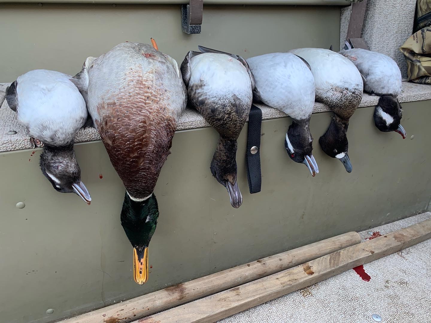 Hunting Upstate Guide Service