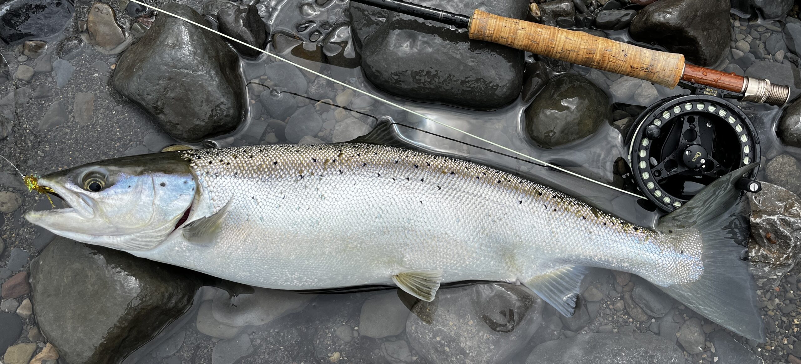 Fly Fishing Guide In Central New York