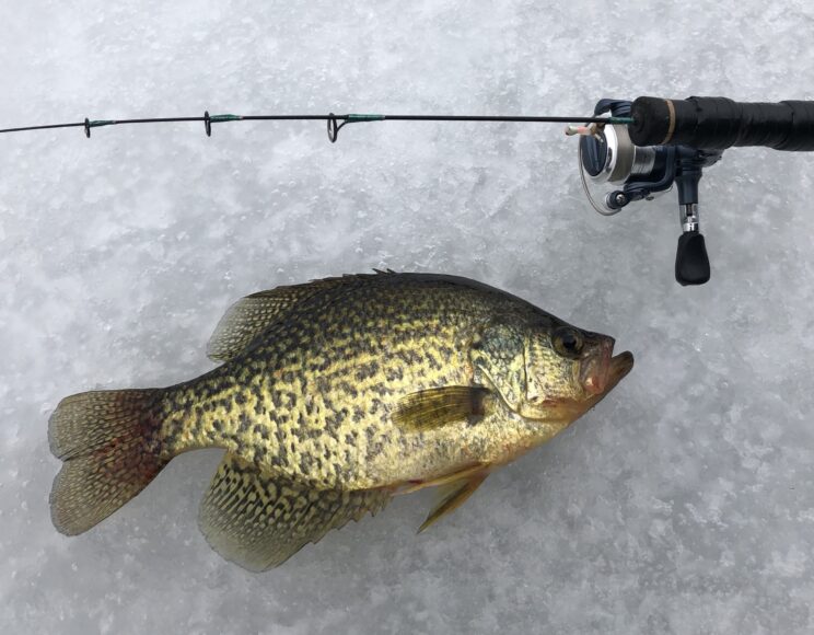 Ice Fishing In Upstate New York
