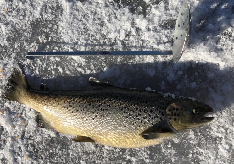 Ice Fishing In The Adirondacks