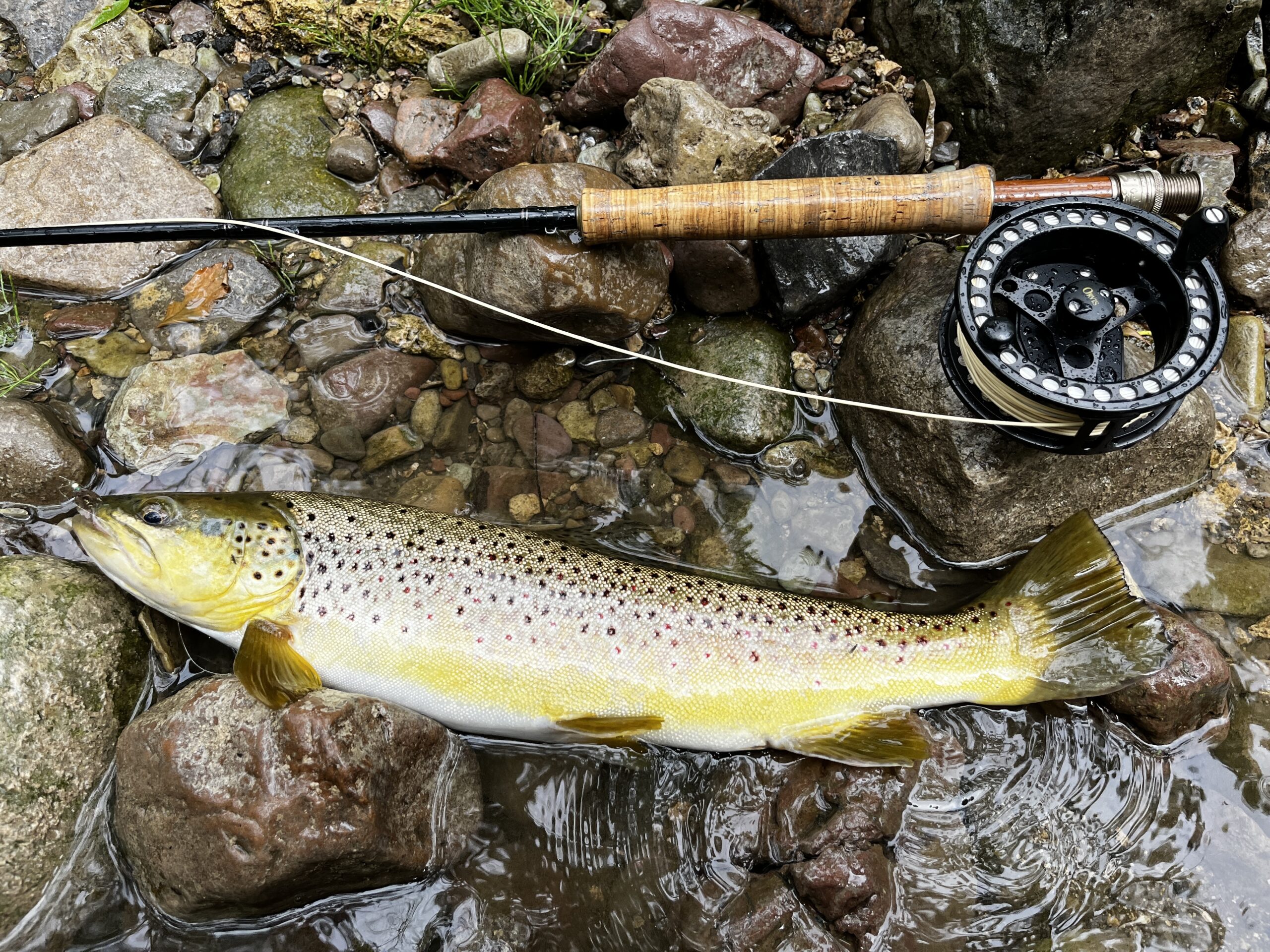 Fly Fishing In New York