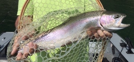 Fly Fishing Guide In New York