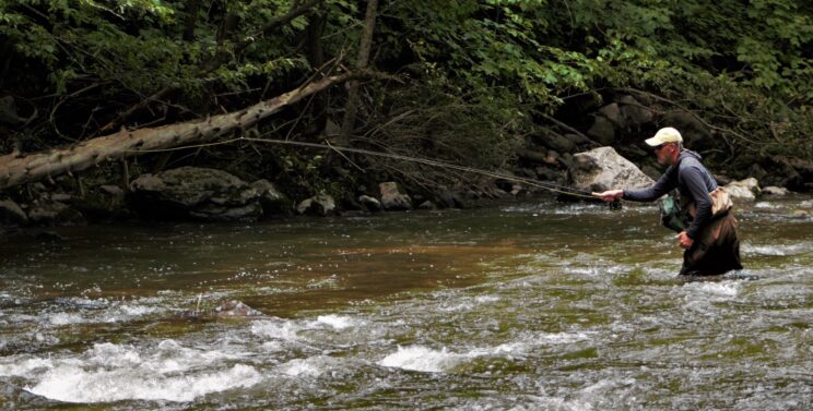 Fly Fishing Guide Service In Upstate New York 