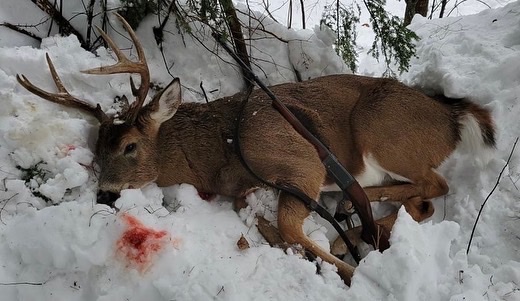 Whitetail Hunting In New York