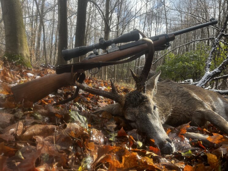 Whitetail Hunting In Upstate New York