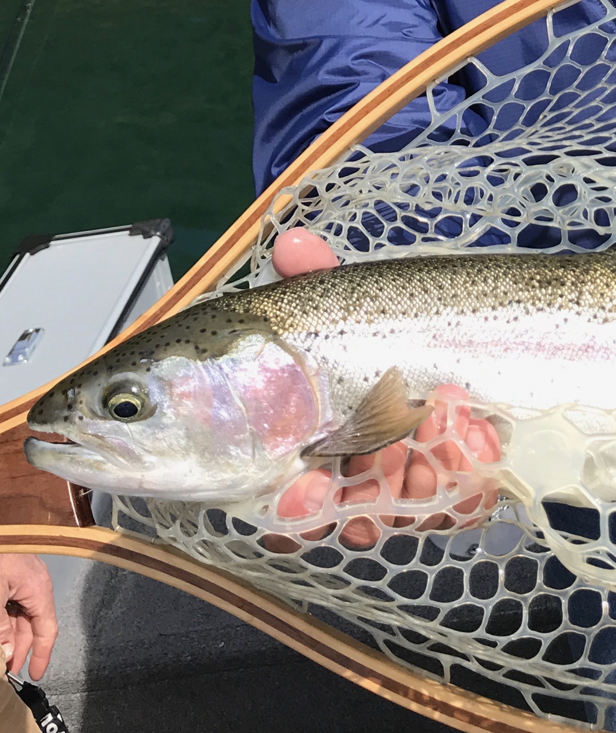 Fly Fishing Guide In New York