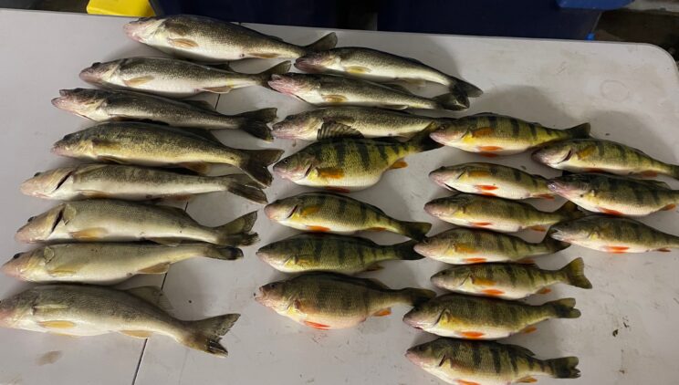 Ice Fishing On Oneida Lake