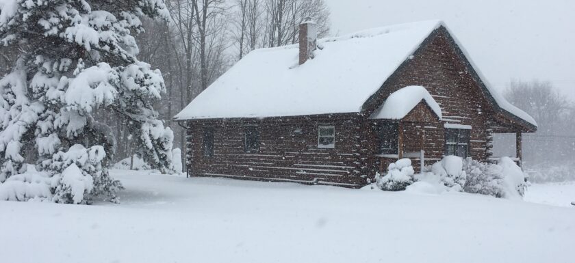 Professional Fishing Guide