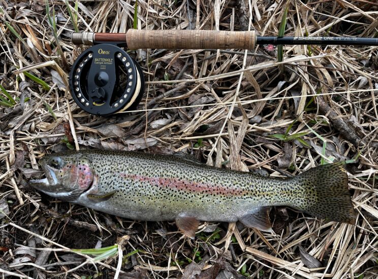 Fly Fishing In Central New York