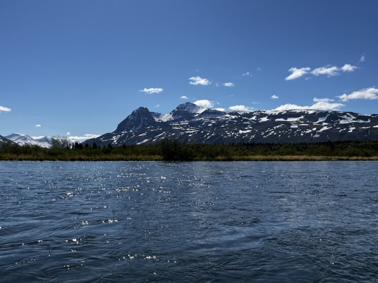 Professional Fishing Guide In New York State