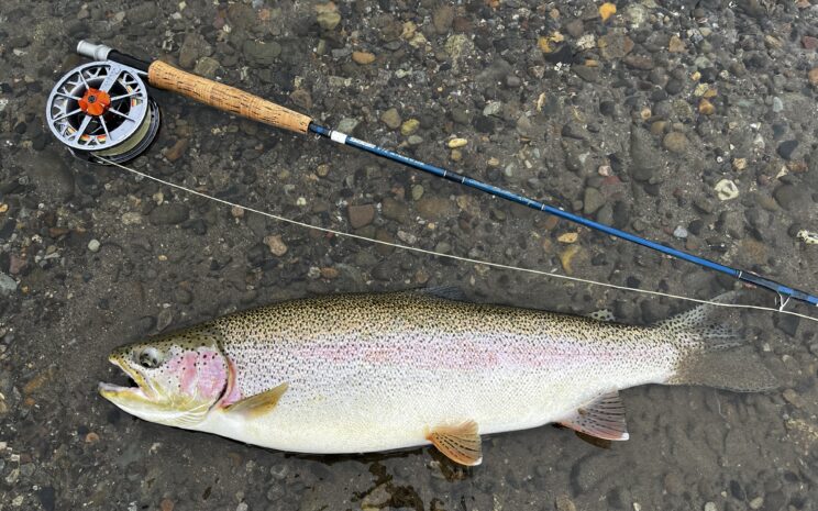 Fly Fishing In Upstate Nee York