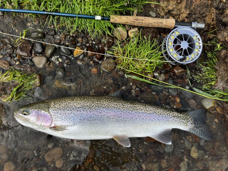 Fly Fishing Guide In Upstate New York