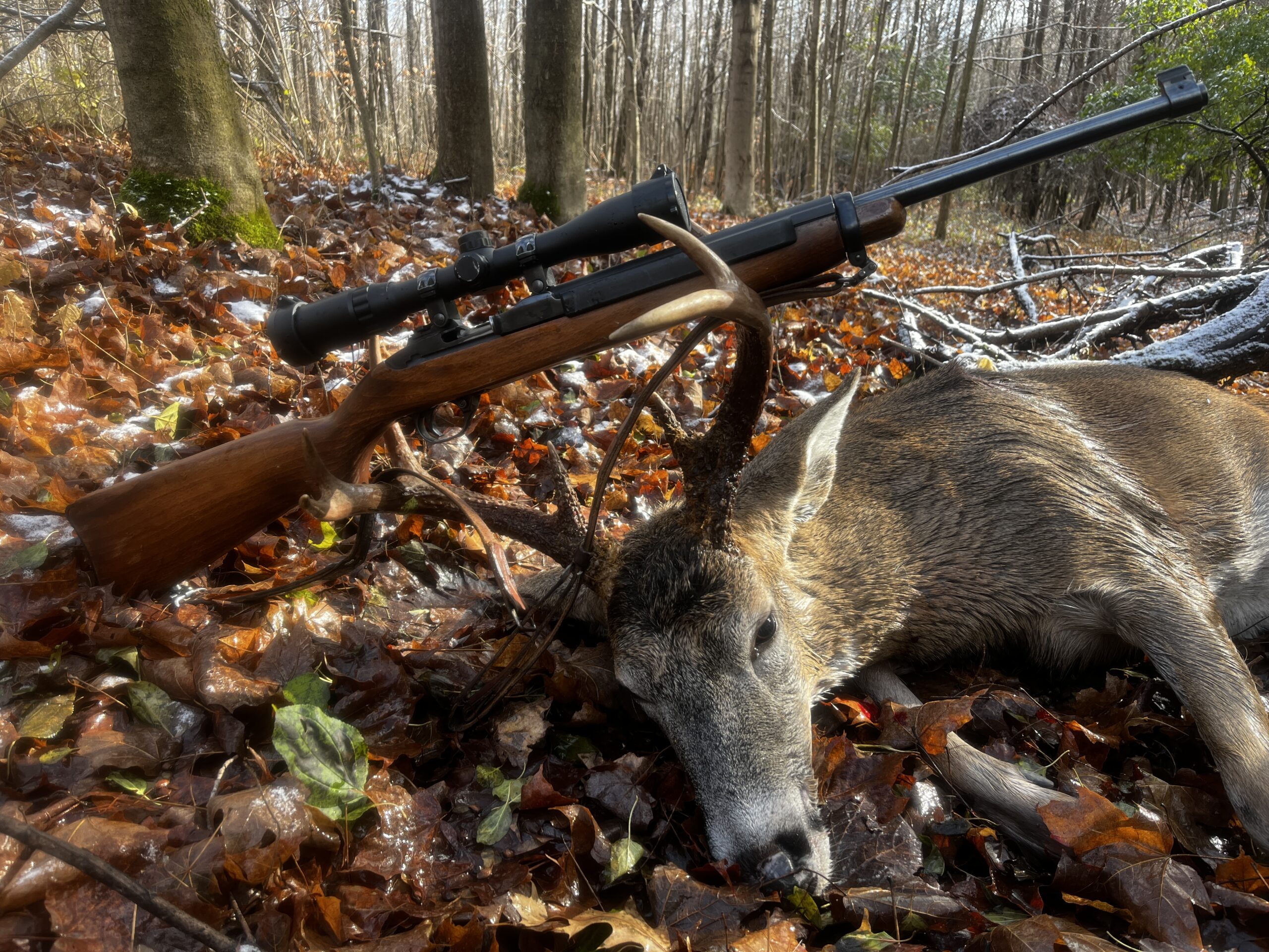 Hunting Guide In New York