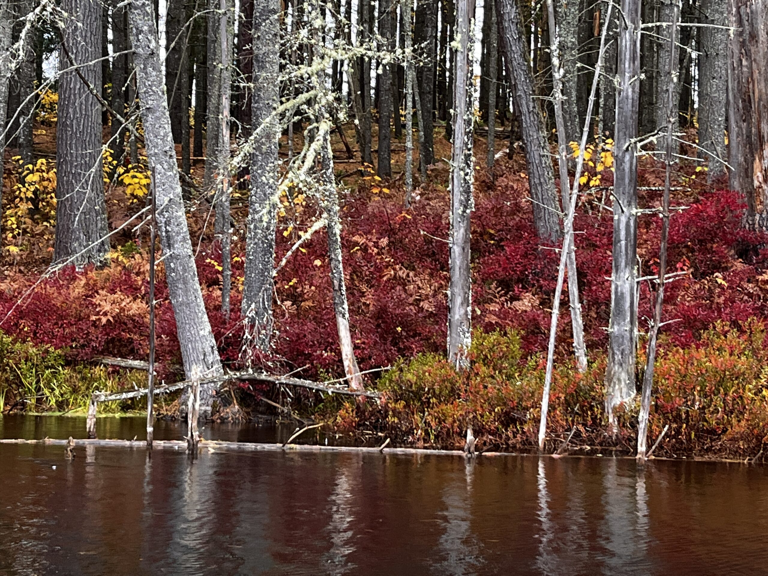 Adirondack Guide Service