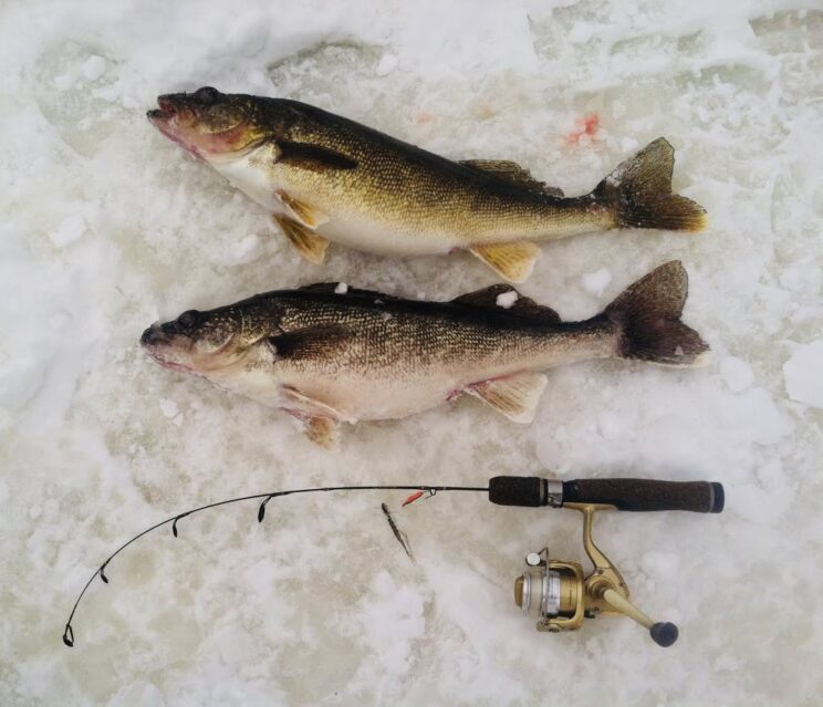 Ice Fishing Oneida Lake