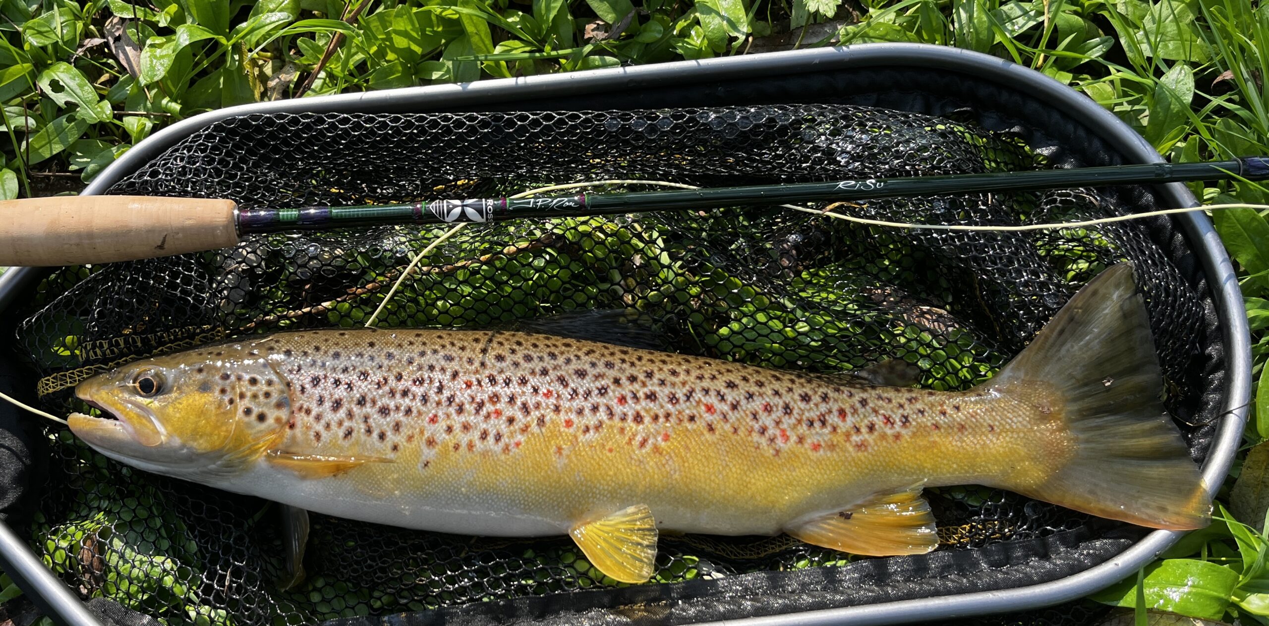 Fly Fishing Guide In New York State