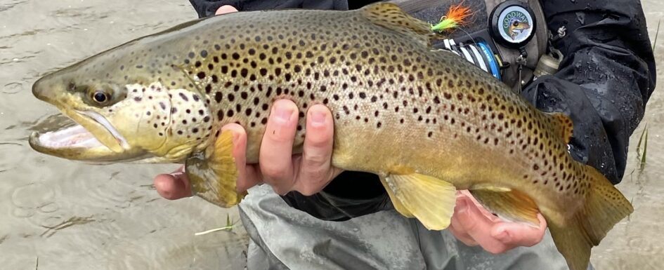 Fly-fishing-in-new-york