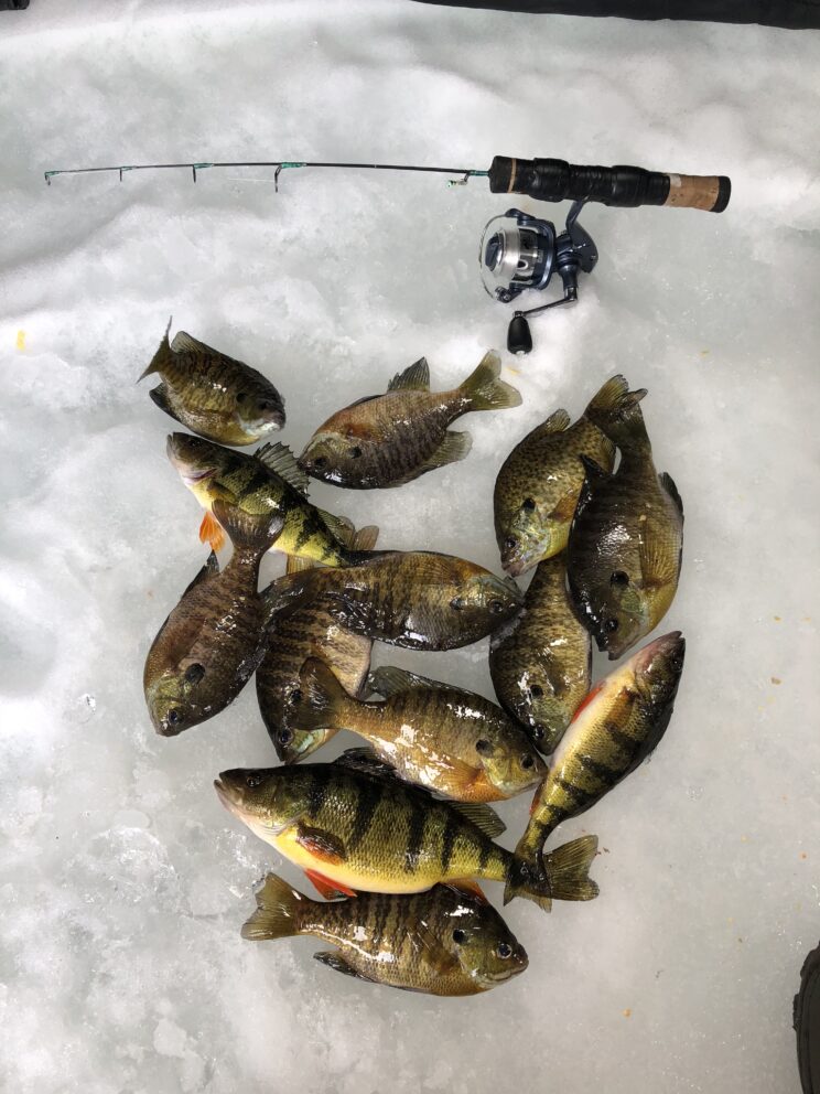 Ice fishing In New York State