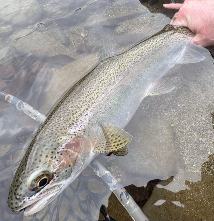 finger-lakes-fishing