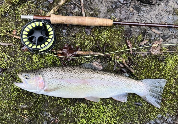 Fly Fishing GFyuide In Upstate New York