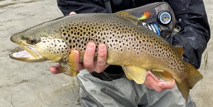 Fly Fishing Guide In Upstate New York