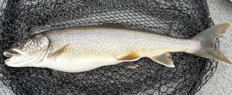 Fishing guide in finger lakes